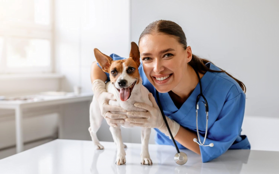 Clearing the Air: Dog Grooming Tips for Respiratory Wellness