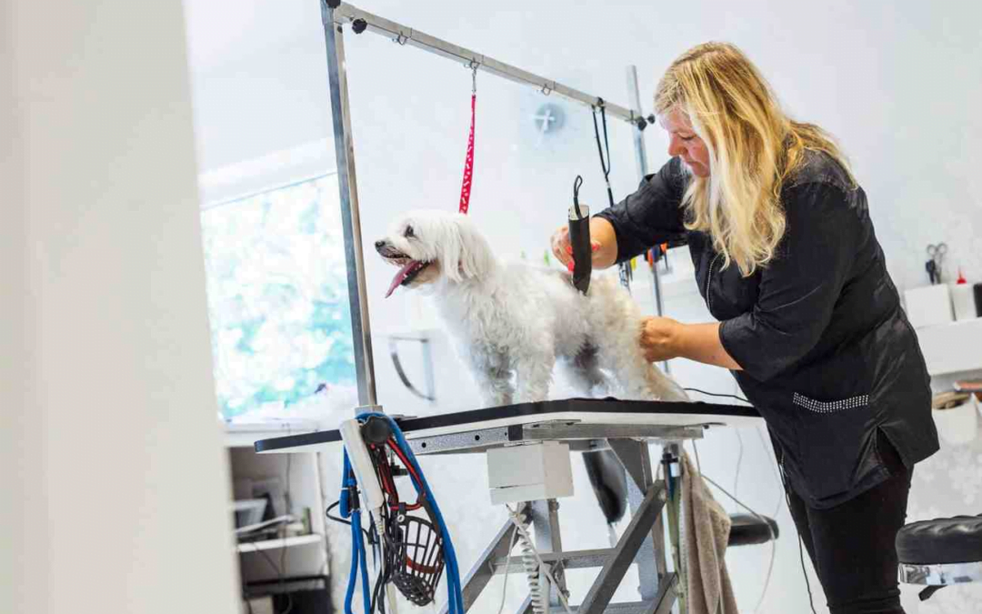 How do Pet Grooming Practices Contribute to a Safer and Happier Life for Your Pet?