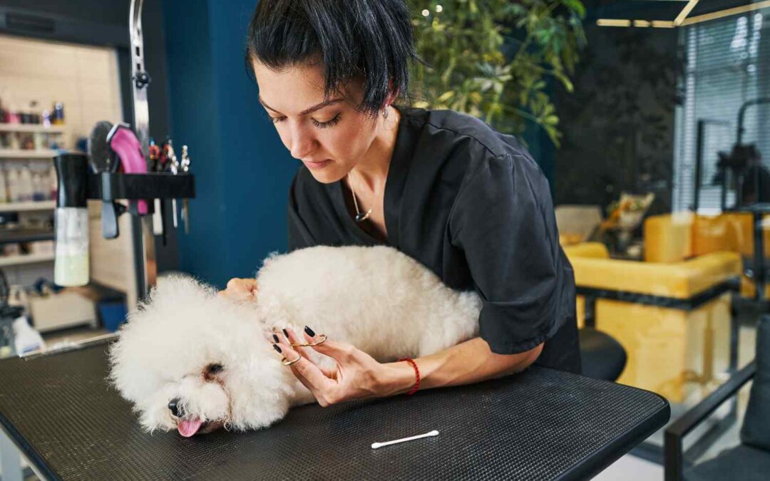 The Tip’s Tale: Why It Matters for Pet Groomers