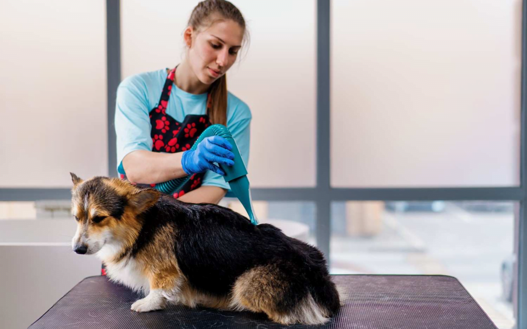 Efficient Mobile Pet Grooming -Factors Influencing Grooming Duration