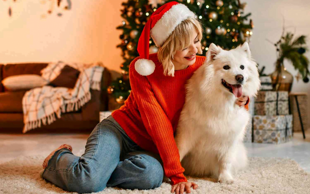 Grooming Cheer: Creating a Holiday Atmosphere in Your Pet Salon