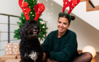 Holiday Pampering: Ten Special Grooming Services for Pets during the Festive Season