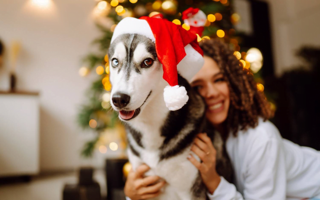 Jingle Tails all the Way: Tips to Manage Holiday Grooming Rush in Your Salon