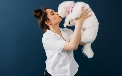 Cleaning Your Dog Salon: Top Tips You Must Know