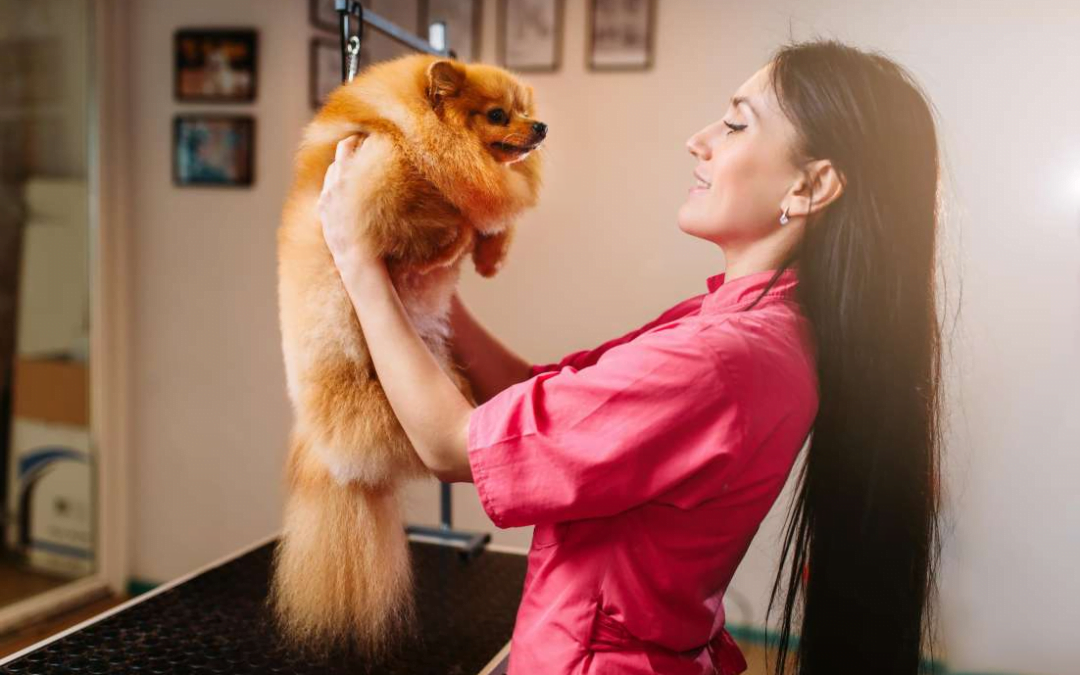 Why Mobile Dog Grooming Might Be Your Perfect Profession?