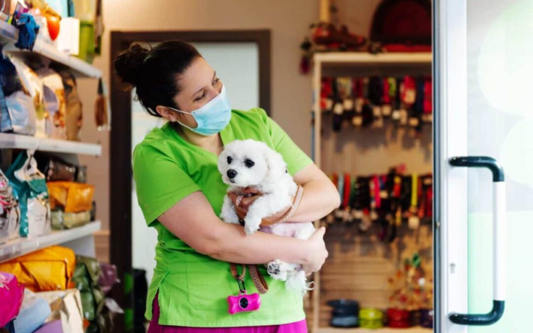 Navigating Pet Care with PawCare: One of the “25 Best Chicago Pet Blogs and Websites”