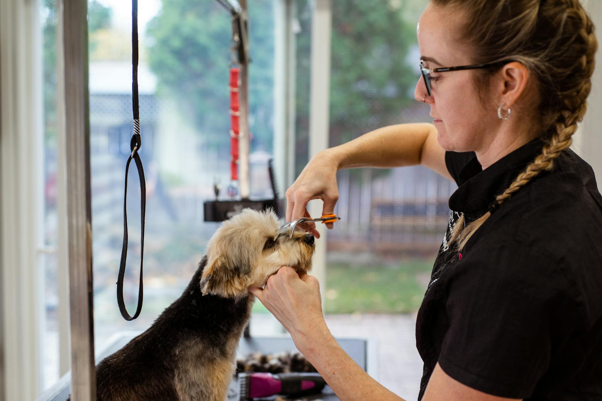 Here’s How the Top Pet Grooming Software Stacks Up