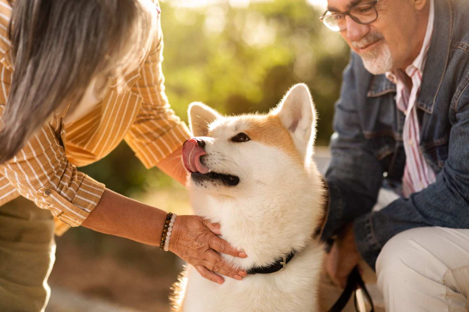 Senior Pet Care: Importance of Preventive Care