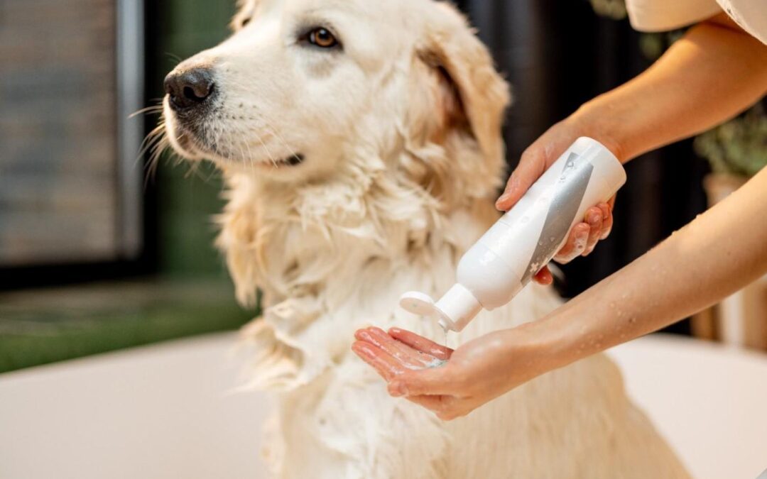 Pet Grooming Supplies: 7 Essential Things for Stress-Free Pet Care