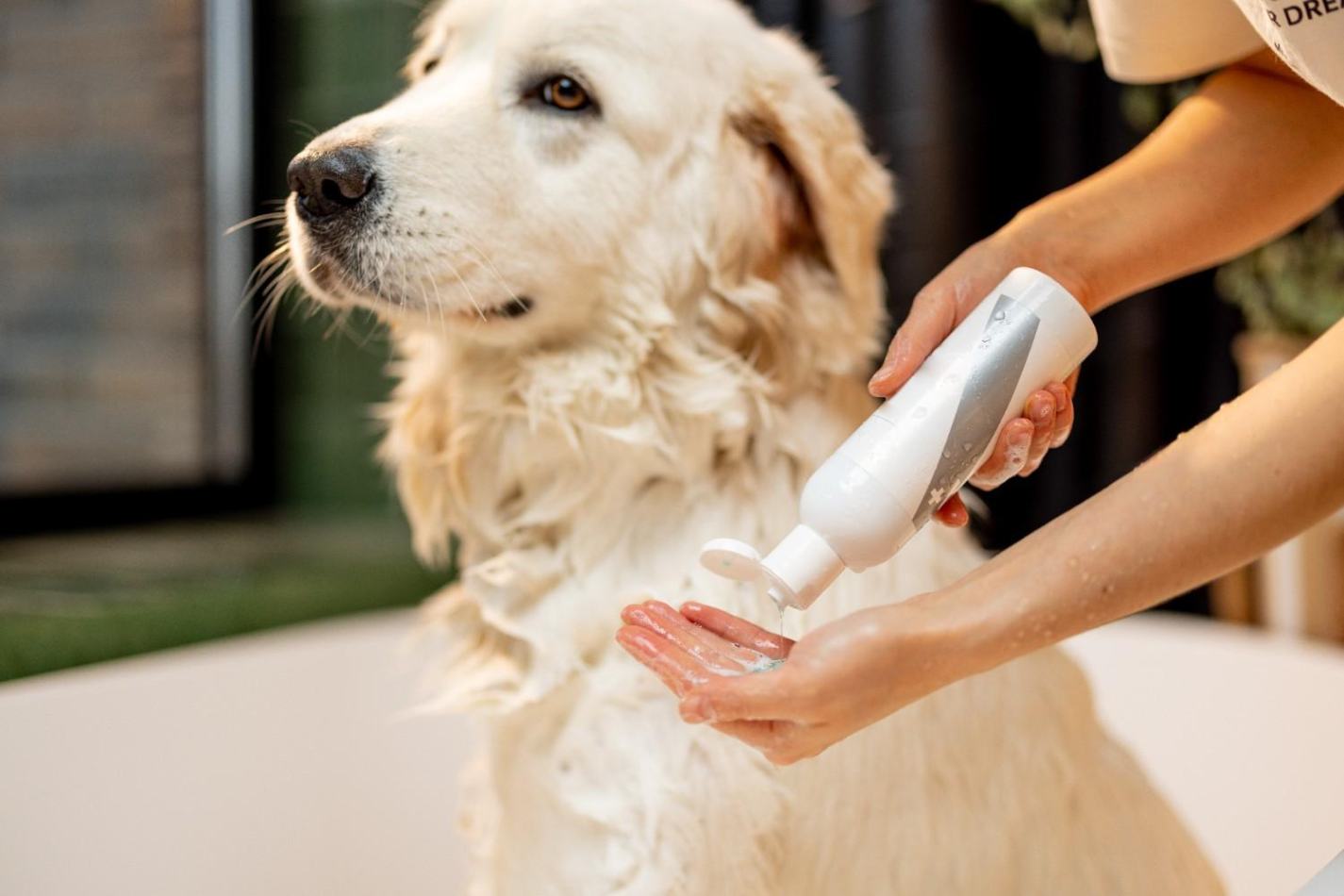 Pet Grooming Supplies: 7 Essential Things for Stress-Free Pet Care