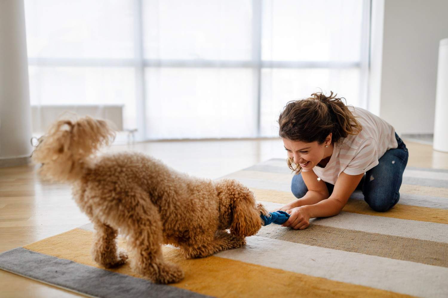 Rain or Shine: Unleashing Indoor Fun Activities for Dogs and Cats