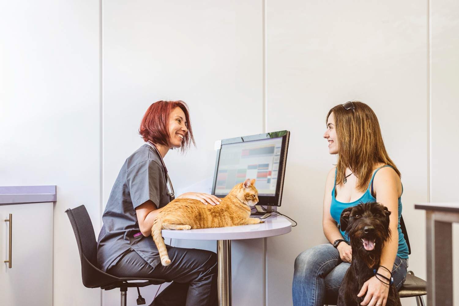 Does SEO Matter for Pet Grooming Businesses? Top SEO Tips to Excel Online