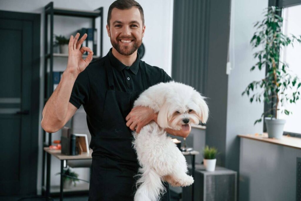Professionals for pet grooming