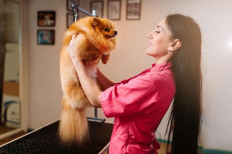 Dog salons in Chicago