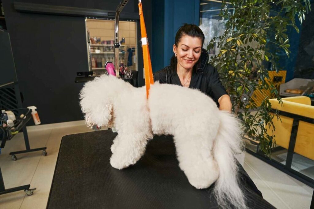 A dog with pet groomer 