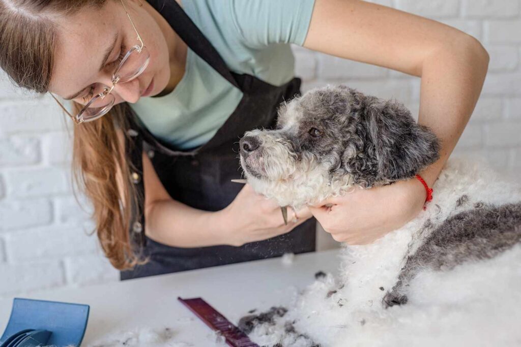  A mobile groomer working