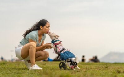 7 Things to Consider Before Adopting Specially-Abled Pets