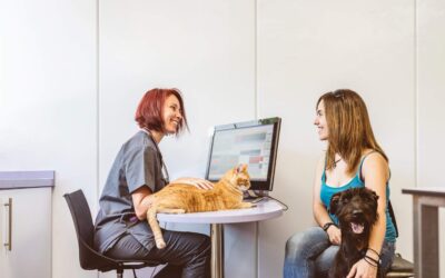 Does SEO Matter for Pet Grooming Businesses? Top SEO Tips to Excel Online 