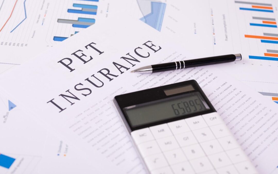 Pet Insurance: Why Consider Coverage and Understanding Key Factors