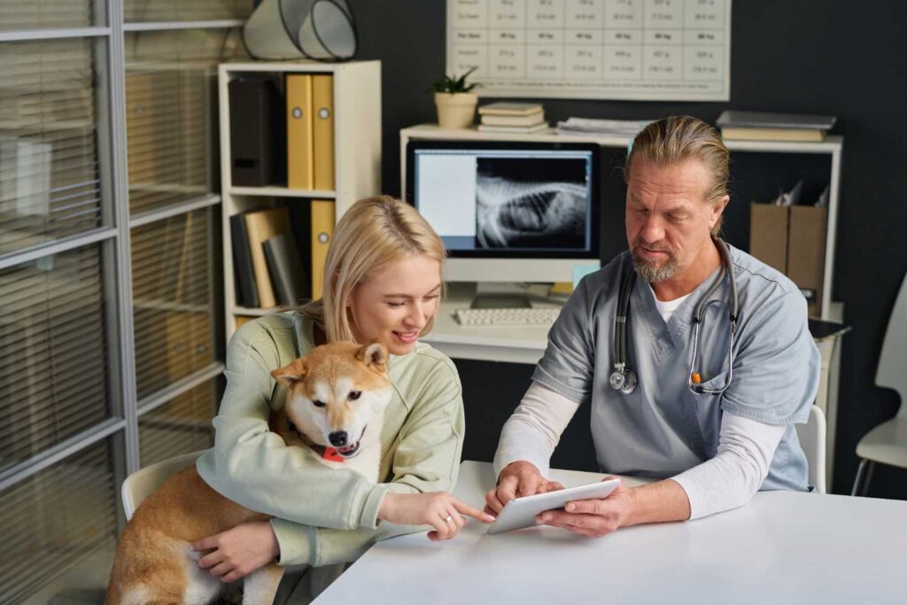Top-notch insurance for pets