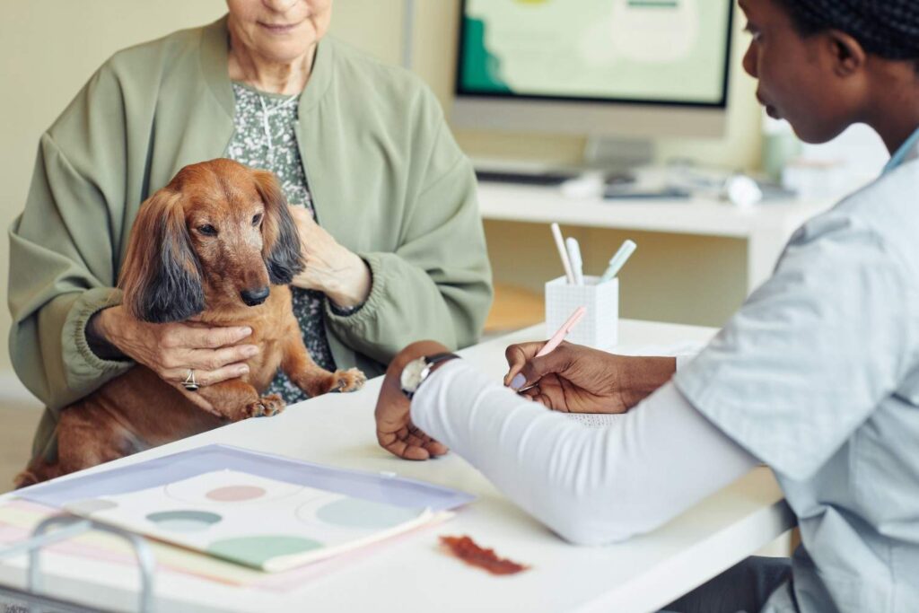 Top rated pet insurance